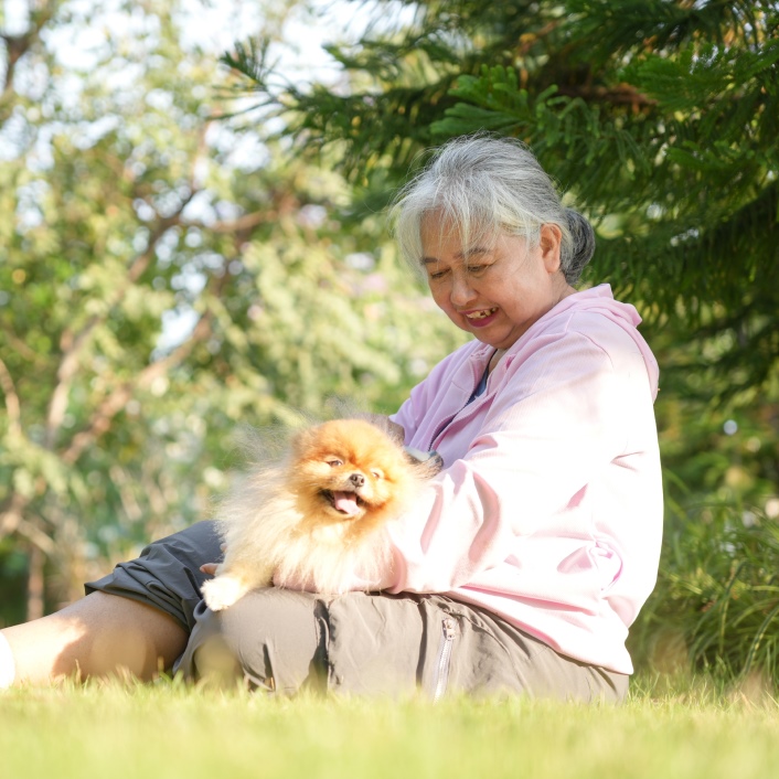 <h2>Your dream retirement awaits!</h2>