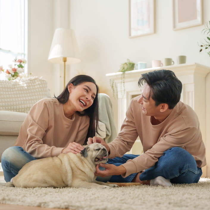 <h2>How you can <span style="background: linear-gradient(76.66deg, #0357ff 10.45%, #ac30ff 54.85%); color: transparent; background-clip: text;">use your loan</span></h2>