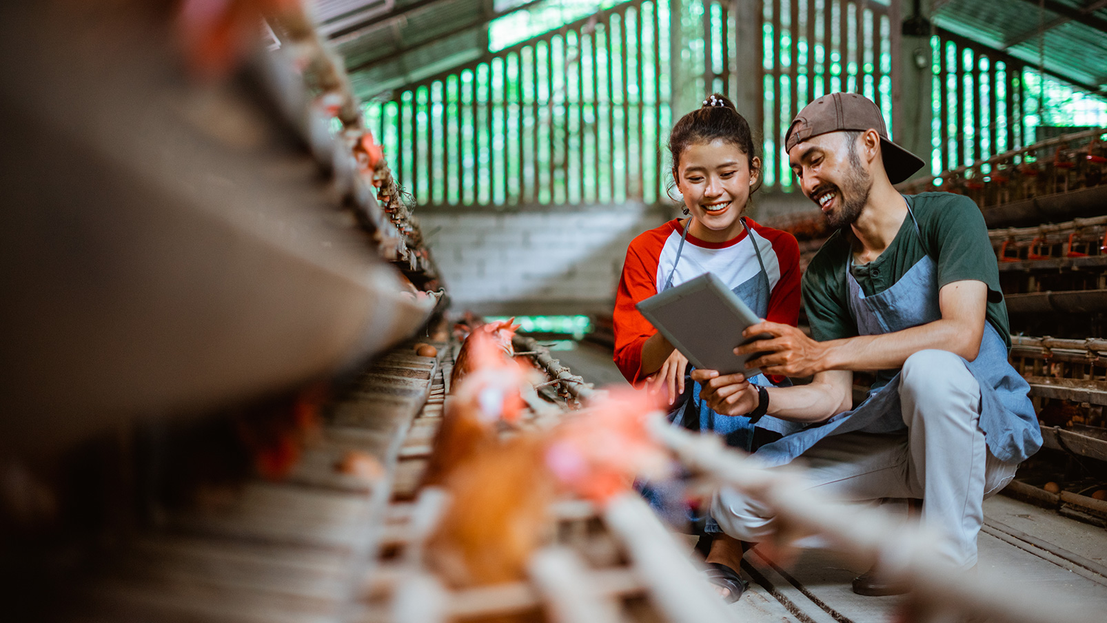 <h1>Metrobank Agri Business Loan</h1>