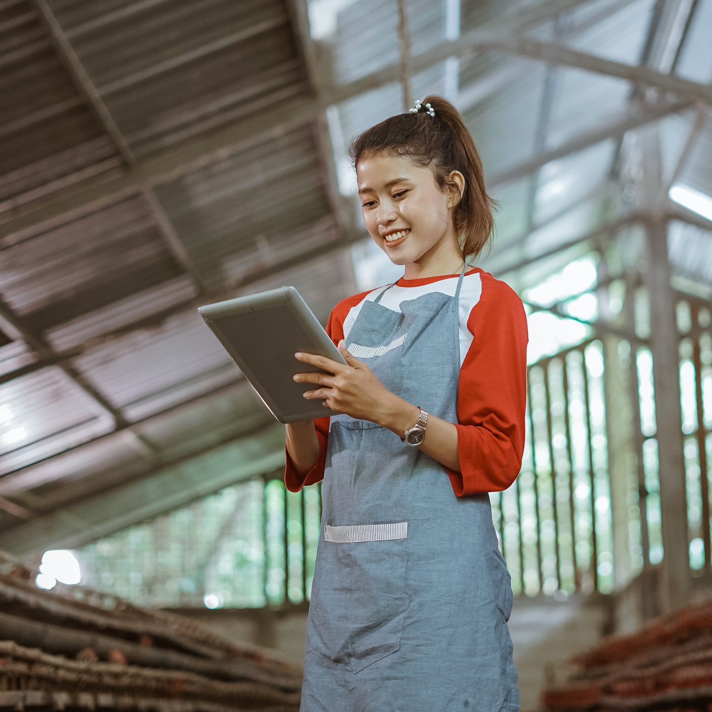 <p>Apply for a commercial loan</p>