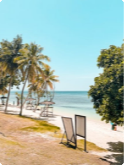 Properties in Metro Manila